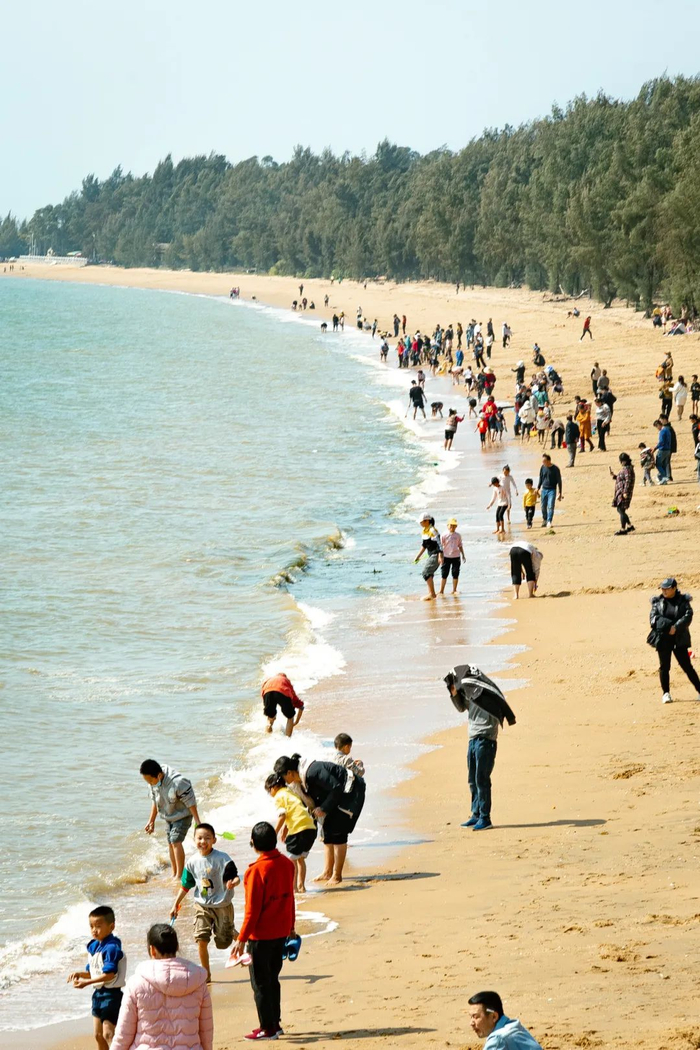 ▲图源 小红书@库洛猫、中猩羊