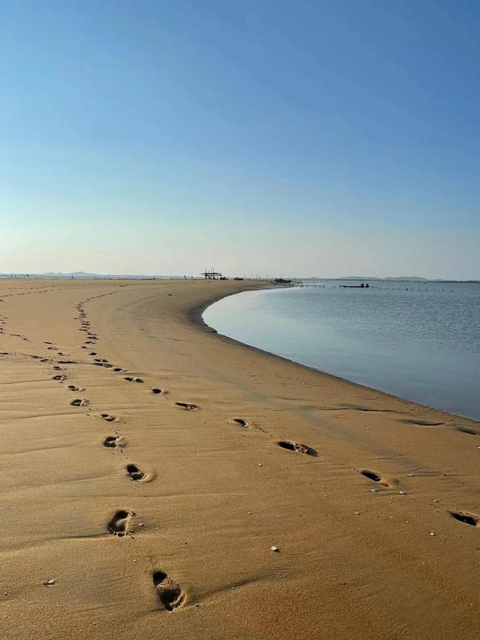 ▲图源 小红书@从从从从从从从从