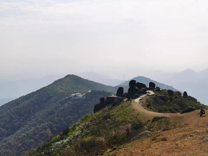 ▲图源 小红书@旅程