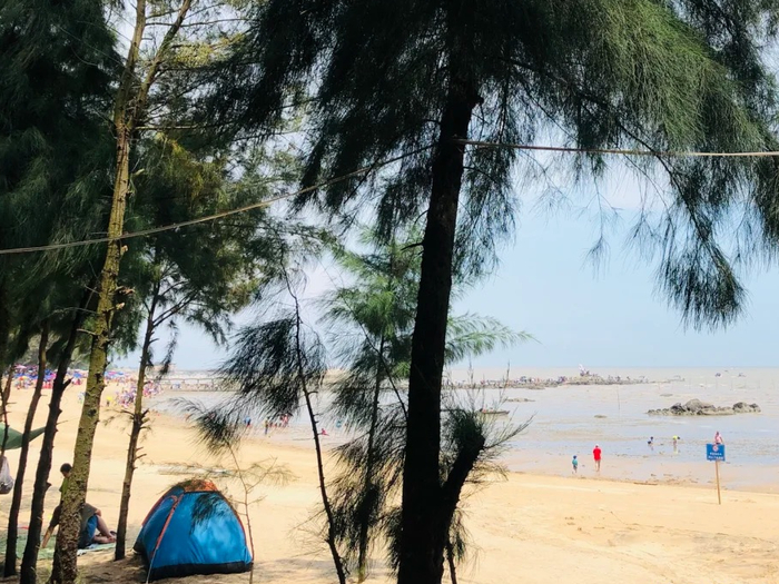 ▲图源 小红书@圆圆呀、白菜