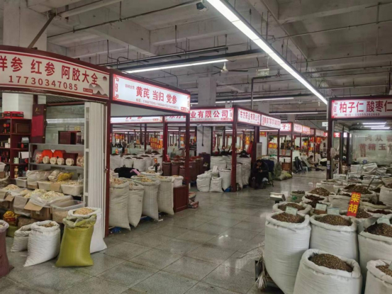 药材市场上演"谁跑得快":部分品种价格断崖式下跌 药企采购观望|安国