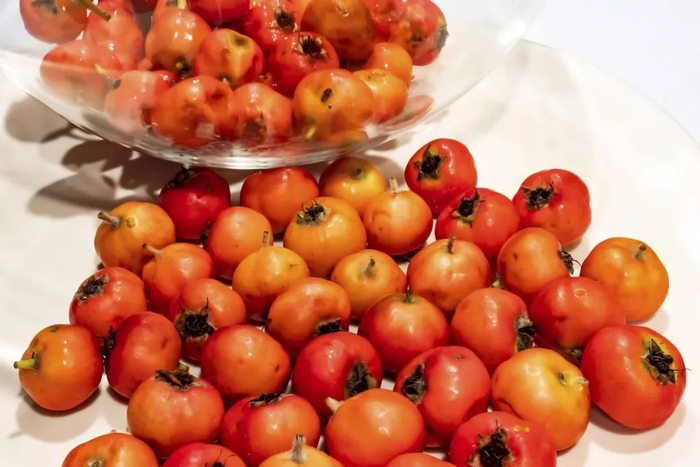 吃山楂能补血吃山楂要注意