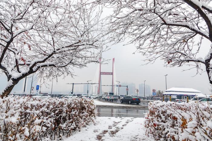  11月1日，吉林省吉林市迎来今年首场降雪，鹅毛大雪让城市一片银白。图/IC photo