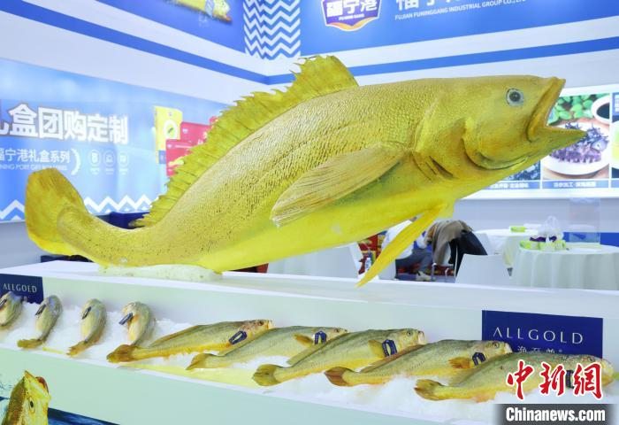 共品"国鱼"之美 "中国大黄鱼之都"福建宁德举办大黄鱼文化节__财经头