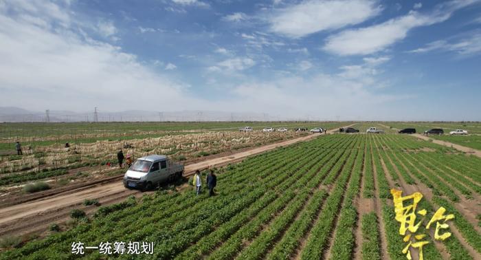 輕舟已過萬重山,前路漫漫亦燦燦,在柴達木盆地這片土地