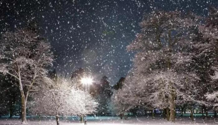 下雪啦 济南周末迎降雪