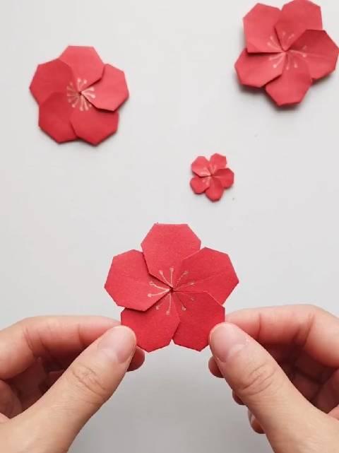 纸折五瓣梅花图片