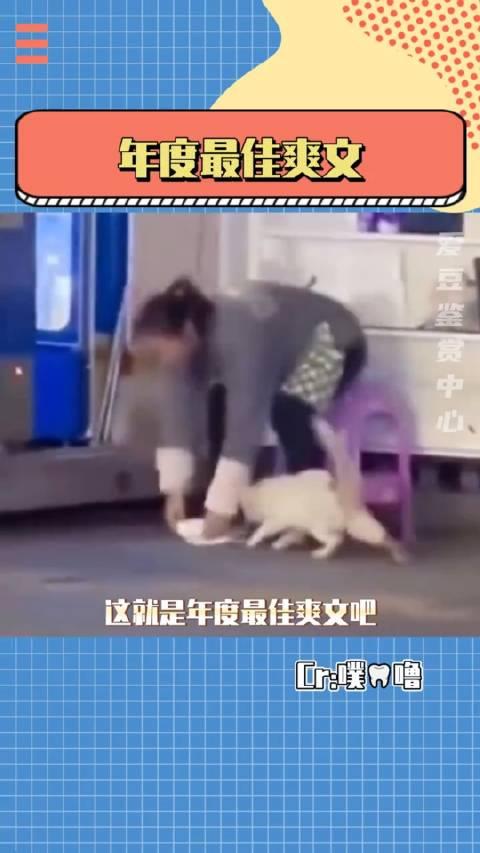 猫咪小猫咪汗流浃背了吧你搞笑两级反转