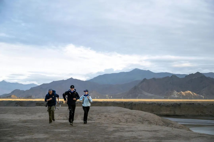 胡歌、刘涛和陈龙。（图/微博@东方卫视一路前行）