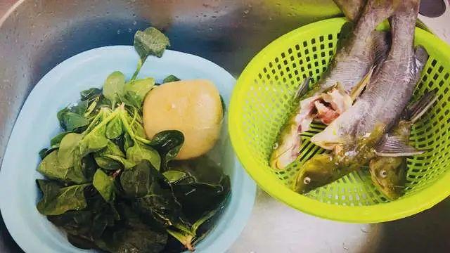 教你做汪丫魚配菠菜營養又美味大人小孩都愛吃太好吃了