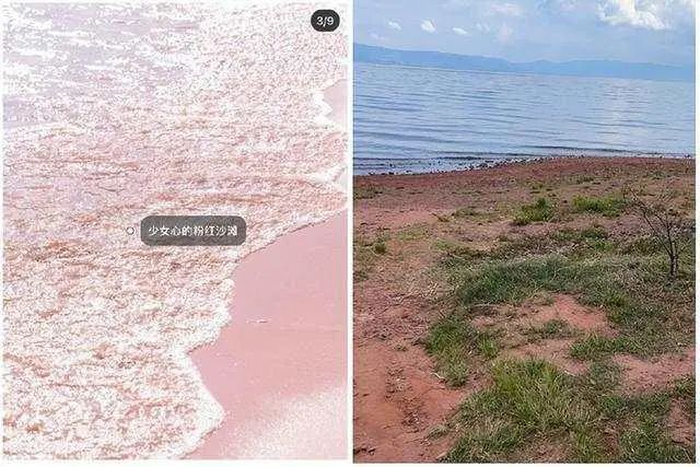 网上与现实中的粉红沙滩对比