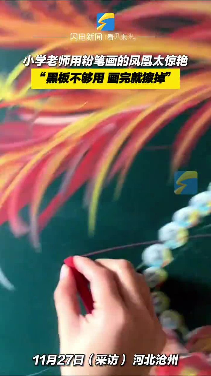 小学老师用粉笔画的凤凰太惊艳黑板不够用画完就擦掉