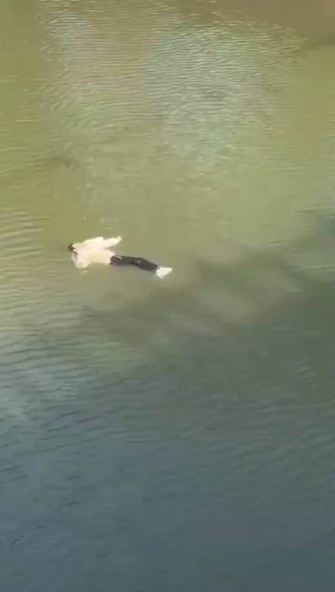 女子不慎落水靠着羽绒服漂在河中