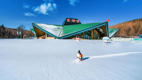 大兴西麻各庄滑雪场图片