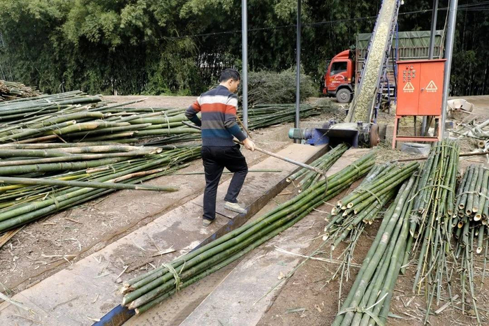 销售的地域比较广泛,宜宾,泸州,重庆等周边城市都在收购,因为兴文的