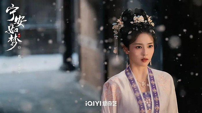 （《宁安如梦》姜雪宁（白鹿饰）（图源：豆瓣）