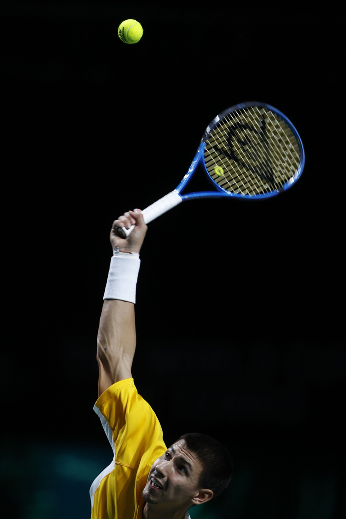 网球——戴维斯杯:意大利队夺冠|意大利队|戴维斯杯|选手_新浪新闻