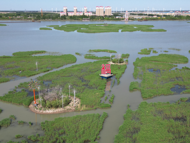 镇赉县南湖入选生态环境部"第二批美丽河湖优秀案例"|南湖_新浪新闻