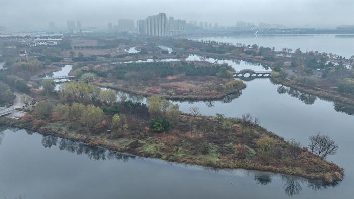 山東榮成溼地公園美如畫活水靚城促發展