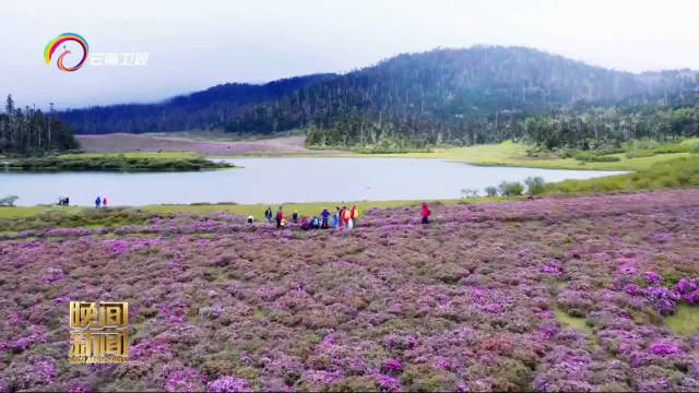 丽香铁路通车最美小站小中甸欢迎你