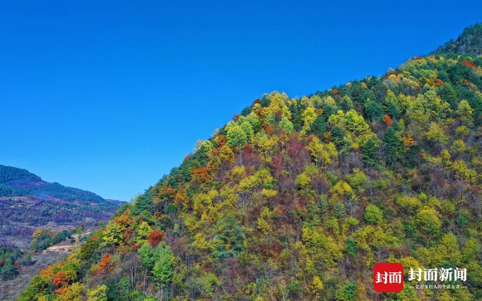 11月下旬,随着气温转凉,在四川省凉山州甘洛县新茶乡两河村,山间的彩