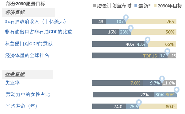 资料来源：《沙特阿拉伯2030愿景》，摩根士丹利研究。*“最新”代表2019年至2022年可用的最新代表数据。