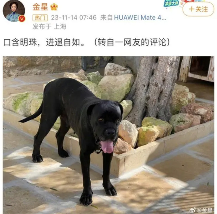       图源：新浪微博       