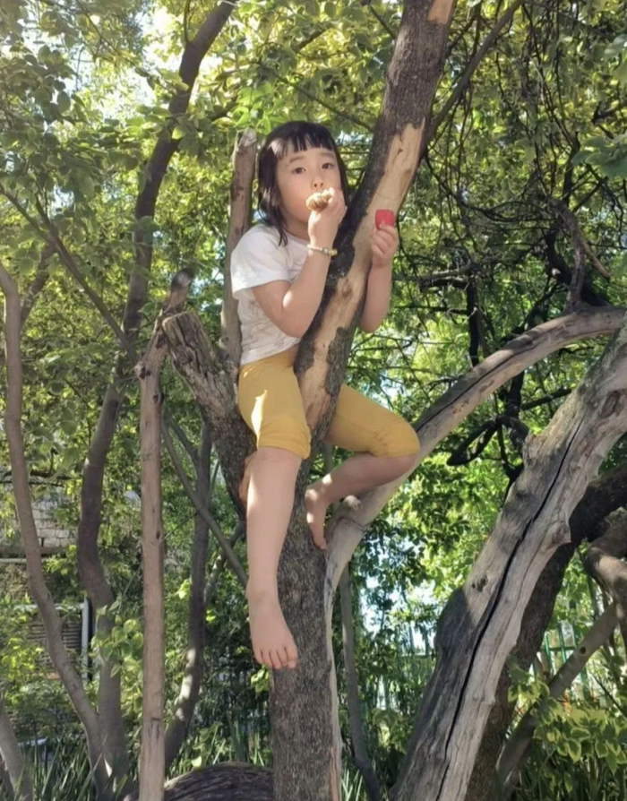 在树上“就餐”