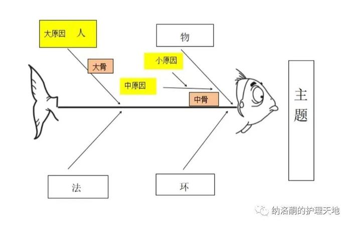 护士小白一看就会的鱼骨图