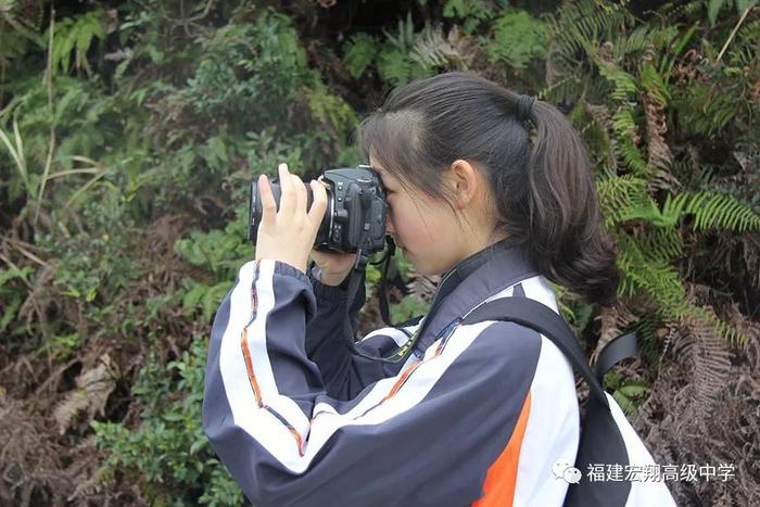 福建宏翔高级中学校花图片