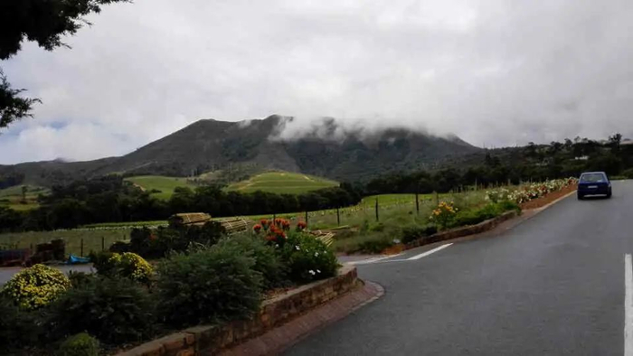 开车路上随手拍的景色