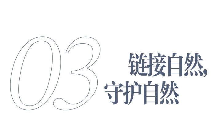 不露鋒芒這是沃爾沃設計的格調與底氣