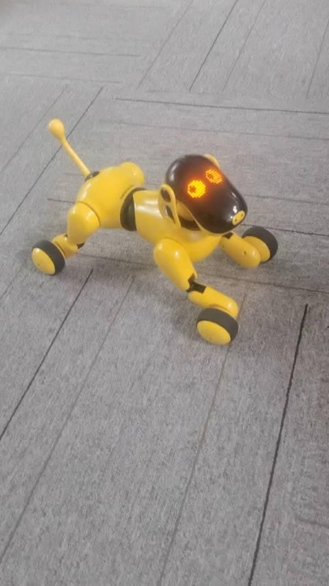 可旺智能机器狗都有哪些功能呢?__财经头条