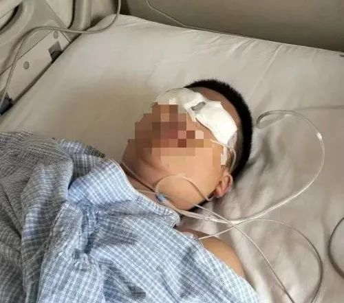 胡女士弟弟   图源：大皖新闻