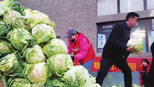 15噸白菜免費送,對高齡老人和行動不便的老人送菜上門……連續幾天,濱