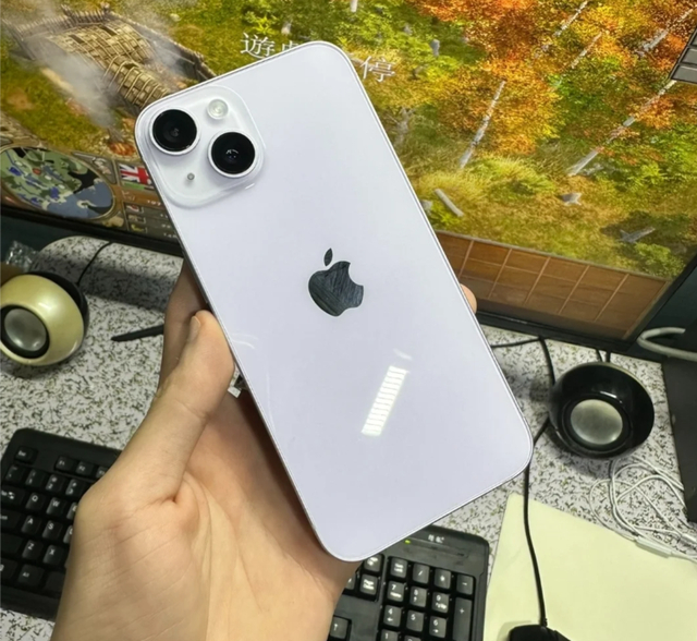 市场手机排行榜_高端手机销量TOP10公布:苹果独占七席,华为杀入前五(2)