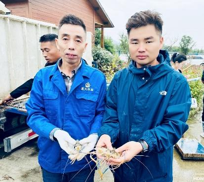 养成率接近100%，抗病性显著，2024年养殖罗氏沼虾成功先机是……|福建省|浙江省|广东省_新浪新闻
