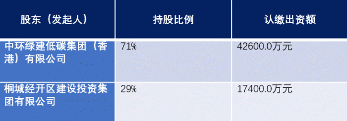 中环（桐城）新能源科技有限公司股东信息；来源：天眼查
