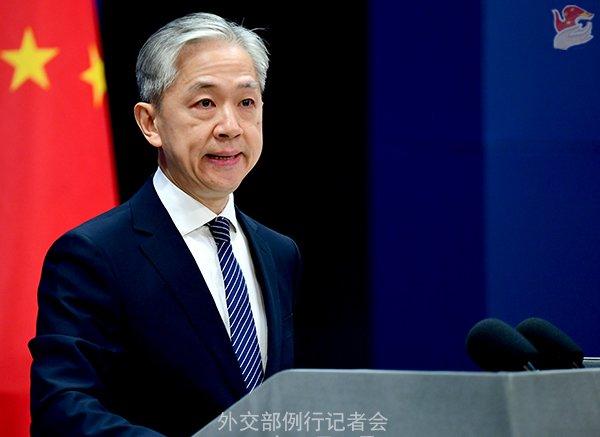 汪文斌 资料图 图源:叮咛部网站