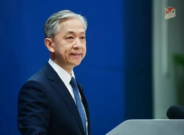 汪文斌（外交部网站）