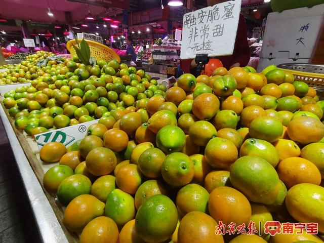 淡村农贸市场内，一果摊销售的金桔品种多为脆蜜和脆皮