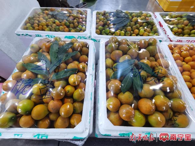 海吉星市场内，大个头的脆蜜批发价要20元/斤