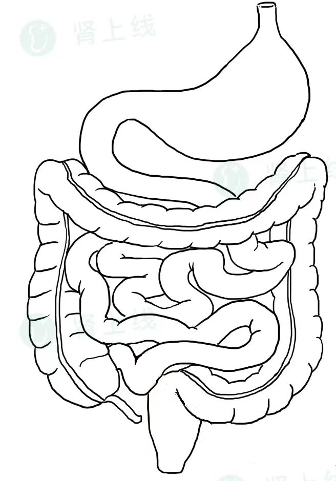 转告iga肾友们:不是所有"布地奈德"都能治iga肾病,千万别弄错了!