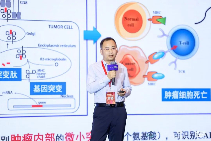 图丨华东师范大学教授、博士生导师裴昊