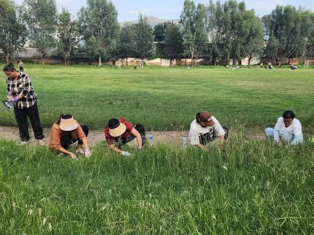 开学前，家长帮忙给球场除草。受访者供图