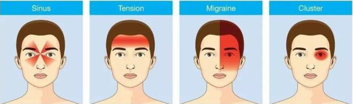 ▲图源：生命时报