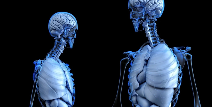 图片来源：pixabay