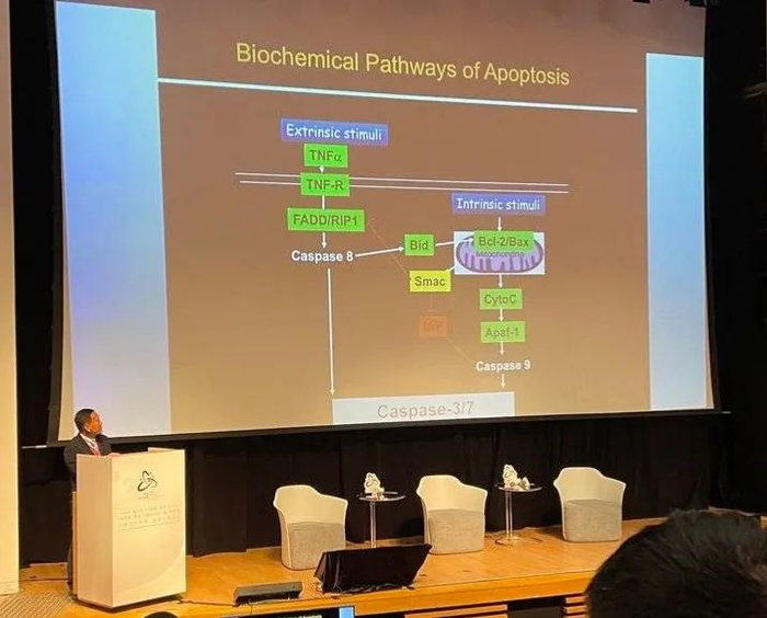 王晓东在首届香港桂冠论坛上分享其在抗衰老药物研究上的成果/虎嗅拍摄