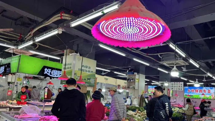 本文图片均为"上观新闻"微信公众号 图