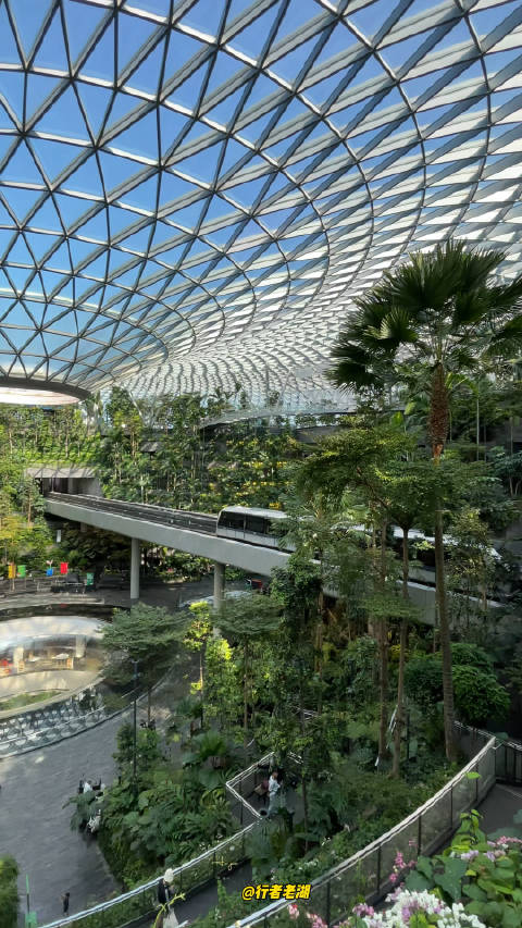 新加坡樟宜机场t1里的瀑布花园